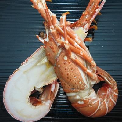 ボイル伊勢海老(ハーフカット済み)(産地は説明文参照)